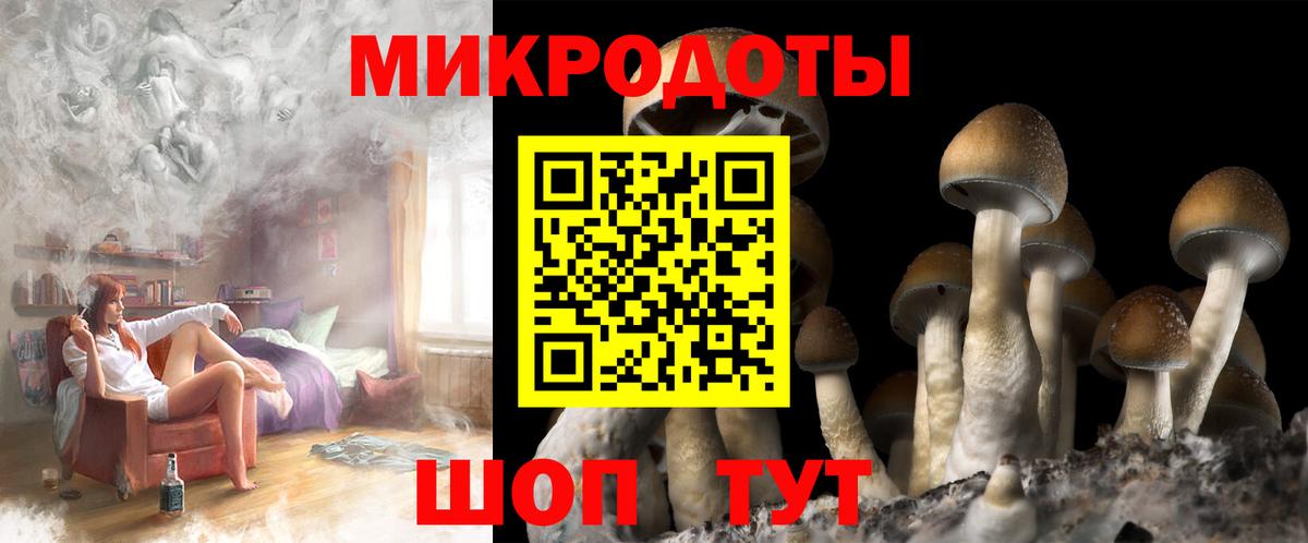 Псилоцибиновые грибы прущие грибы  где продают наркотики  Черногорск  Вход с VPN 