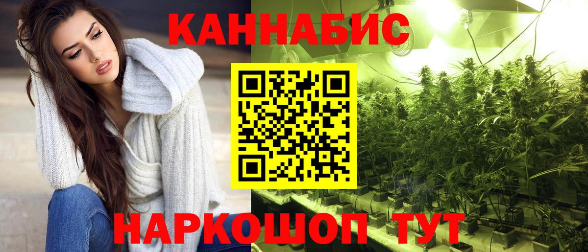 Шишки марихуана OG Kush Черногорск